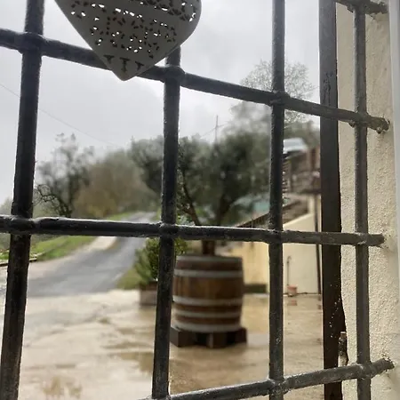 Lejlighedshotel 1929 Wine Food Relax 4*