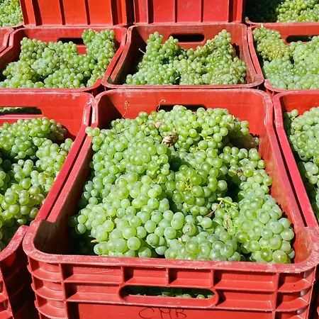 1929 Wine Food Relax Apartmanhotel 4*