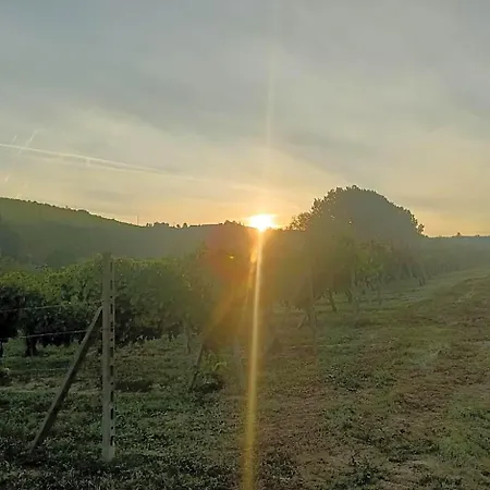 아파트호텔 1929 Wine Food Relax 4*